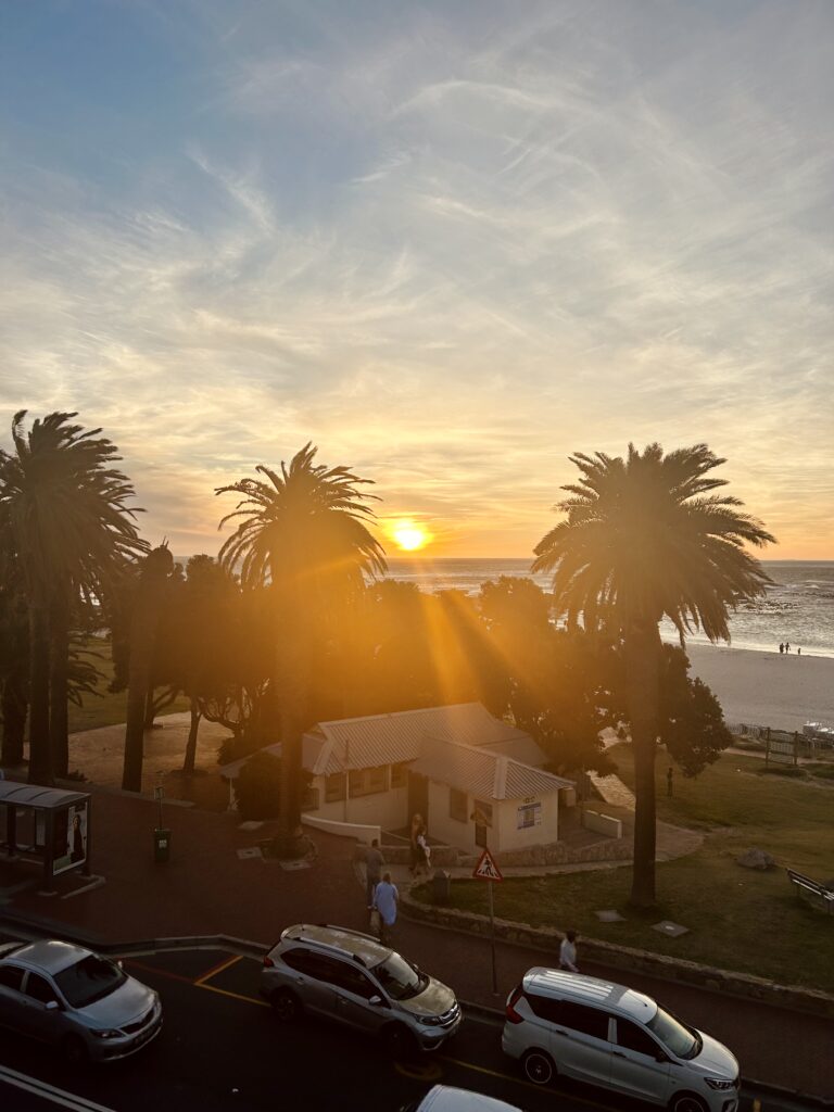 chinchilla cape town